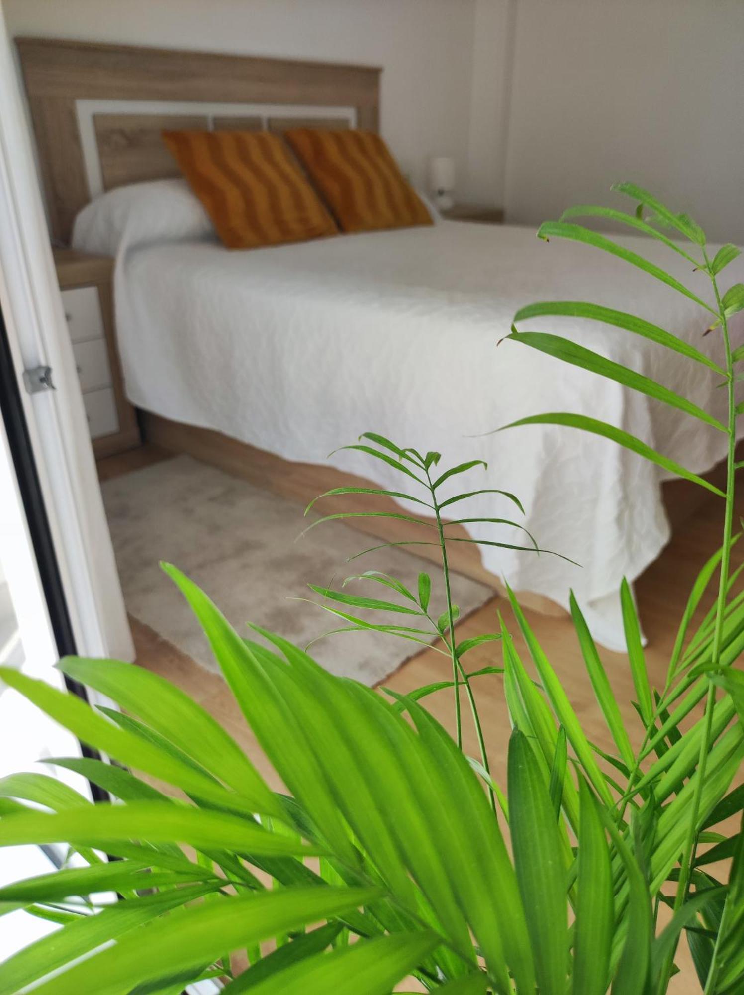 Apartamento Bolboreta Pontevedra Exterior foto